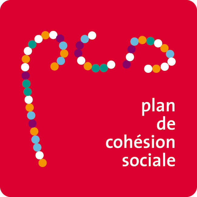 Conseil Consultatif Communal des aînés de Thuin